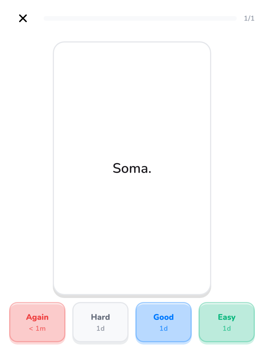 Study screen showing the answer and rating buttons